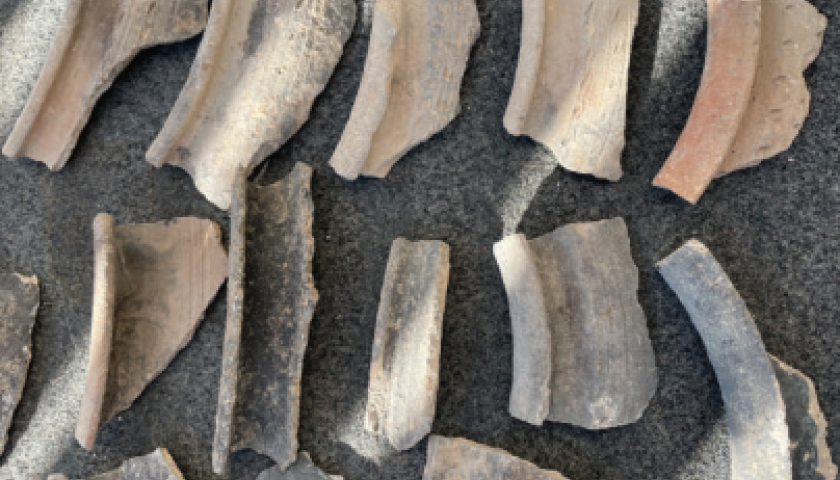 O Jančji njivi in medvedovih hruškah