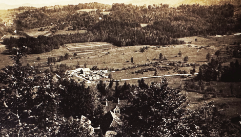 O pepelu in patošlu